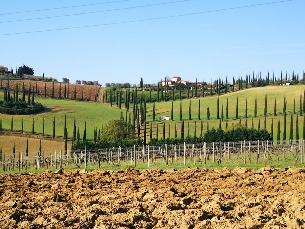 Castello Di Fulignano Ranuccio10 Superior Apartment 圣吉米纳诺 外观 照片